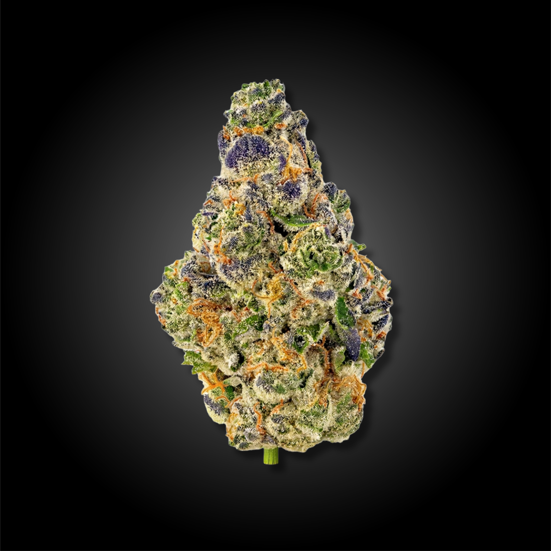 planet 13 cannabis flower Shop premium cannabis flower at Planet 13 Florida dispensaries. Explore Tier 1, 2, and 3 whole-plant strains with full cannabinoid and terpene profiles intact.