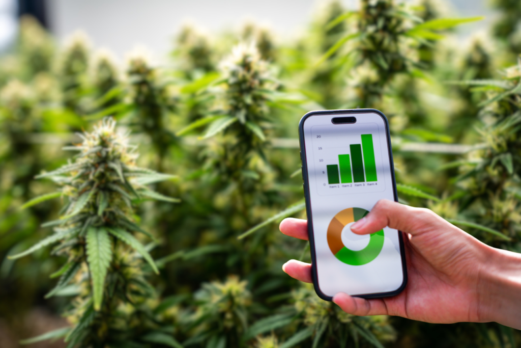 Cannabis cultivation data management