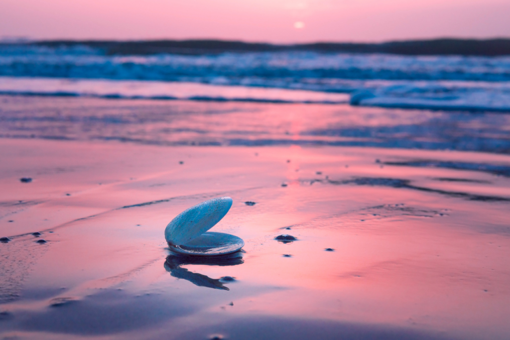 Deerfield beach Florida