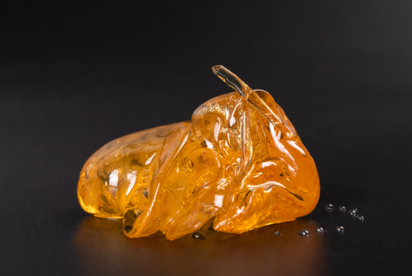 Golden cannabis concentrate with a glossy, translucent texture on a dark background.