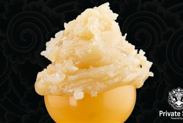 Pale yellow cannabis rosin displayed against a dark patterned background.