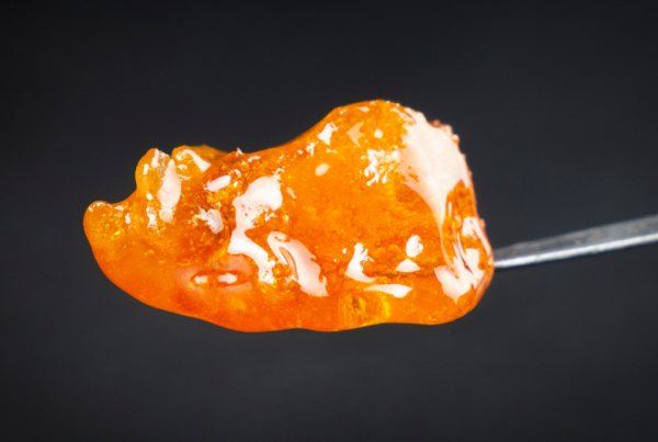 cannabis live resin on a dab tool