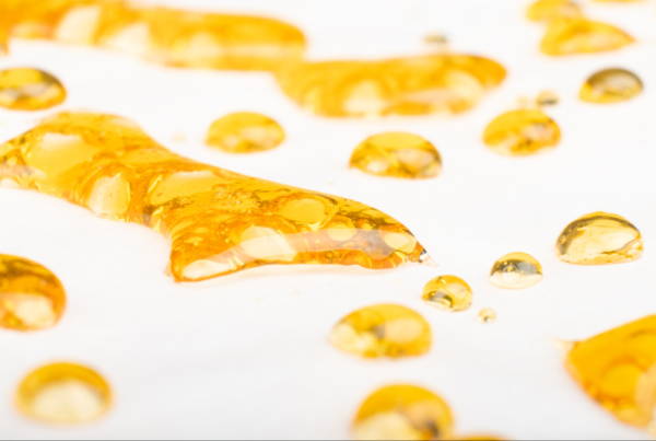 Cannabis concentrate on wax paper