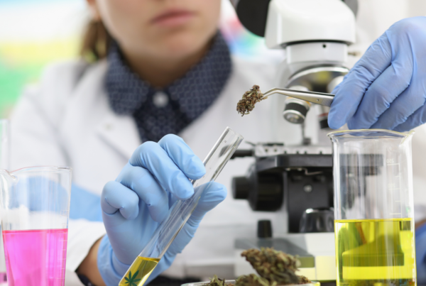 Cannabis lab testing results